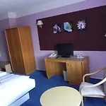 Hotel Zur Eldenburg 3*