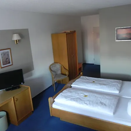 Hotel Zur Eldenburg 3*
