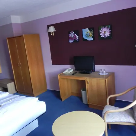 Hotel Zur Eldenburg 3*